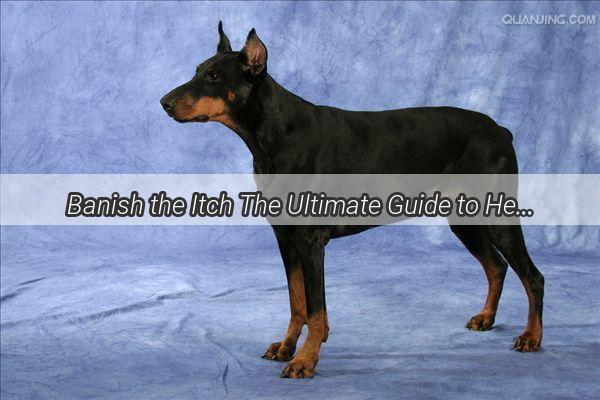 Banish the Itch The Ultimate Guide to Healing Your Dogs Whisker Woes